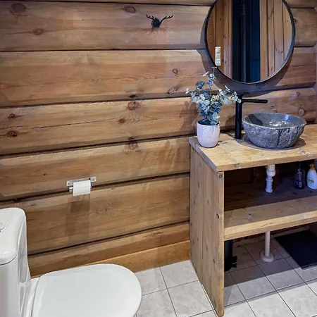 Lovely In With Sauna * Uvdal